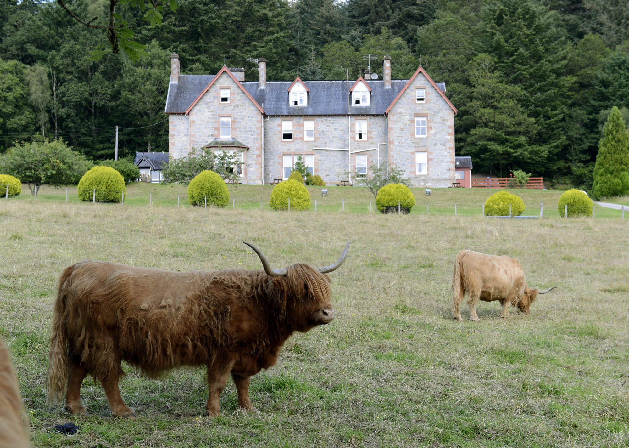 Inch Hotel Fort Augustus Εξωτερικό φωτογραφία